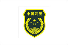 中國(guó)武警